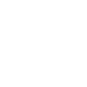 The NUS Executive MBA
